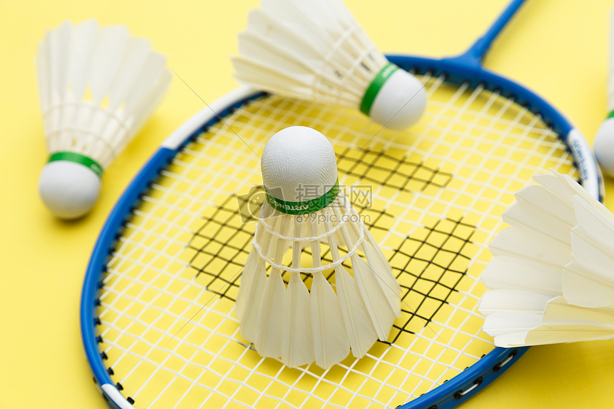 尼亚谈过金 尼亚谈过金