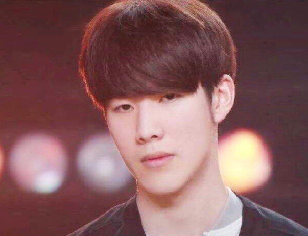 的張琳芃 的張琳芃